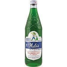 Blue Boy Hale's Fruit Flavor Syrup 710ml Green Soda - Golden Buffalo Grocery Store