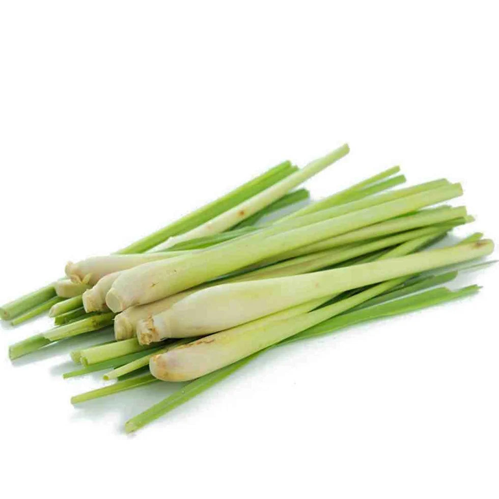 T Frozen Lemon Grass Sticks 500g