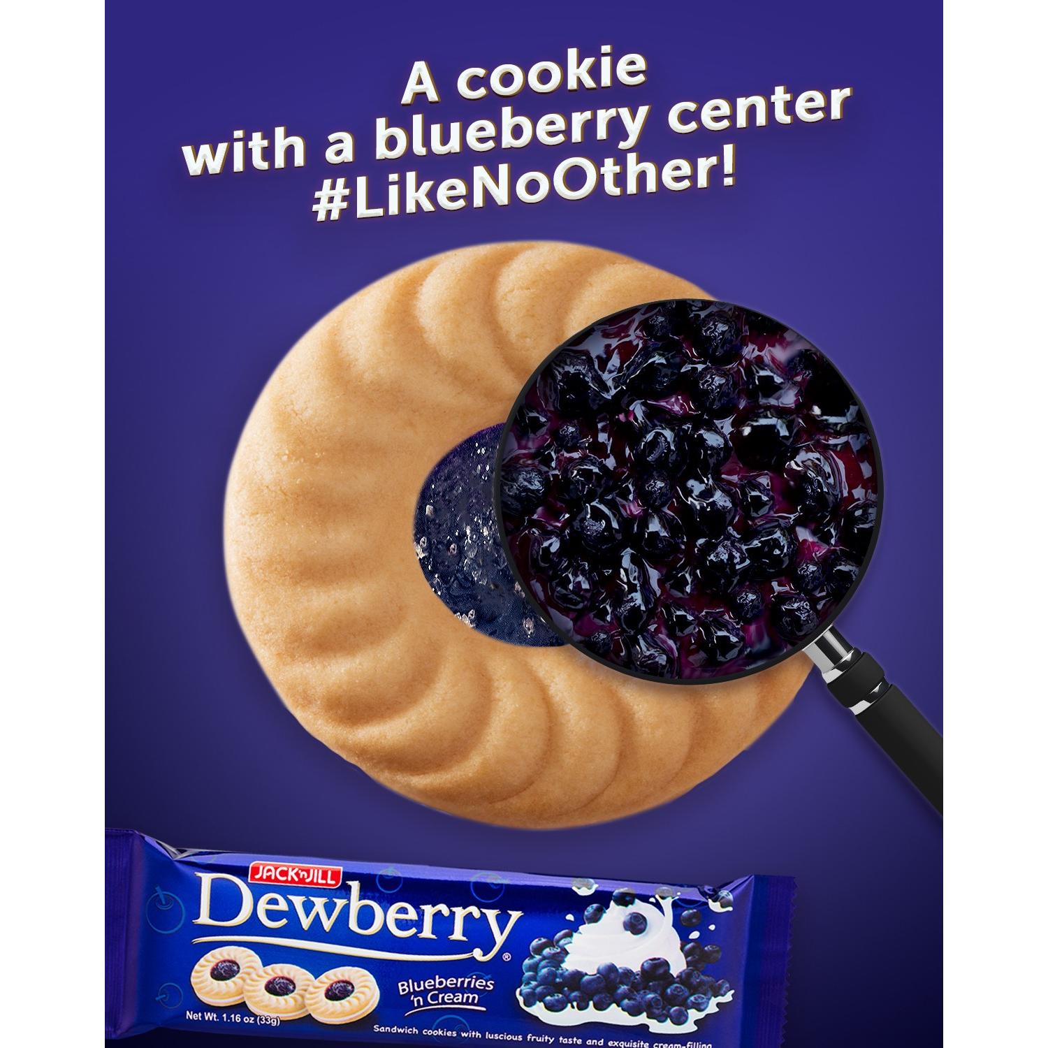 Jack n Jill Dewberry Blueberries n Cream 33g x 10 - Golden Buffalo Grocery Store