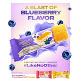 Jack n Jill Dewberry Blueberries n Yoghurt Flavored Cake 25g x 10 - Golden Buffalo Grocery Store